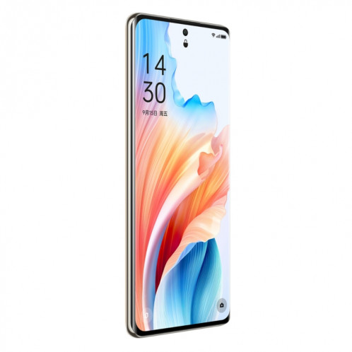 OPPO A2 Pro, 12 Go + 512 Go, empreinte digitale d'écran, 6,70 pouces ColorOS 13,1 Dimensity 7050 Octa Core jusqu'à 2,6 GHz, OTG, réseau : 5G (marron) SO802A148-014