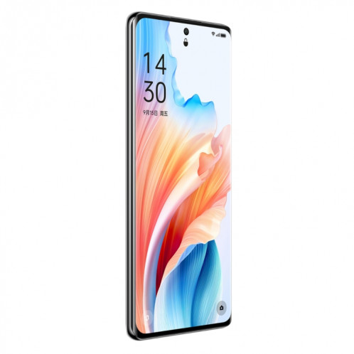 OPPO A2 Pro, 12 Go + 512 Go, empreinte digitale d'écran, 6,70 pouces ColorOS 13,1 Dimensity 7050 Octa Core jusqu'à 2,6 GHz, OTG, réseau : 5G (noir) SO802B890-014
