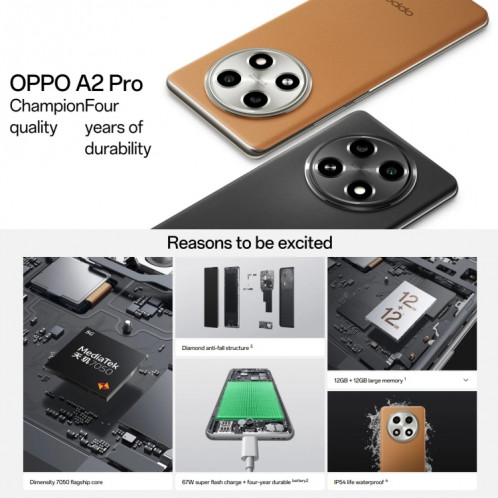 OPPO A2 Pro, 12 Go + 512 Go, empreinte digitale d'écran, 6,70 pouces ColorOS 13,1 Dimensity 7050 Octa Core jusqu'à 2,6 GHz, OTG, réseau : 5G (noir) SO802B890-014