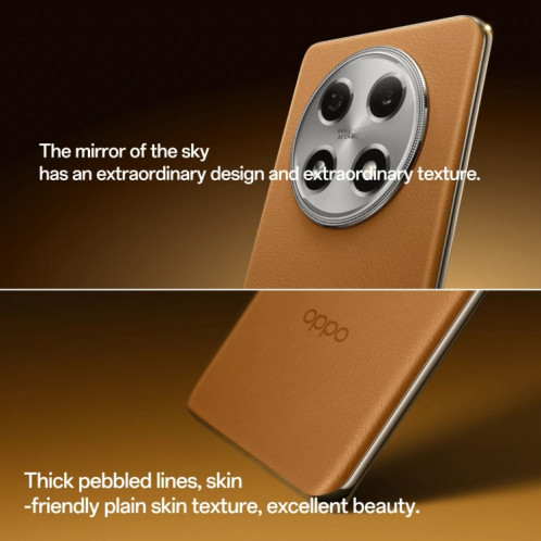 OPPO A2 Pro, 12 Go + 512 Go, empreinte digitale d'écran, 6,70 pouces ColorOS 13,1 Dimensity 7050 Octa Core jusqu'à 2,6 GHz, OTG, réseau : 5G (marron) SO802A148-014