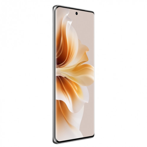 OPPO Reno11 Pro, 12 Go + 512 Go, empreinte digitale d'écran, 6,74 pouces ColorOS 14 Qualcomm Snapdragon 8+ Gen 1 Octa Core jusqu'à 3,2 GHz, NFC, OTG, réseau : 5G (argent) SO002C1467-013