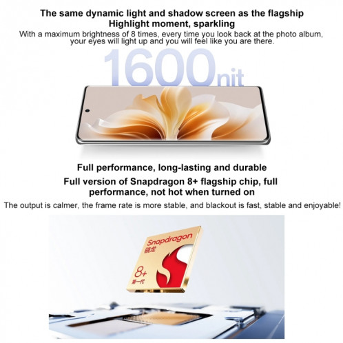 OPPO Reno11 Pro, 12 Go + 512 Go, empreinte digitale d'écran, 6,74 pouces ColorOS 14 Qualcomm Snapdragon 8+ Gen 1 Octa Core jusqu'à 3,2 GHz, NFC, OTG, réseau : 5G (noir) SO002A860-013