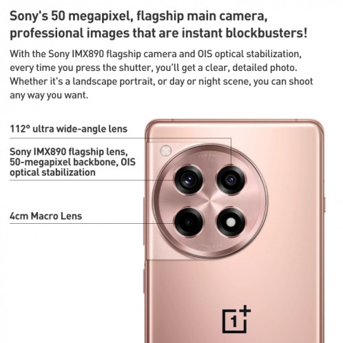 OnePlus Ace 3, 12 Go + 256 Go, 6,78 pouces ColorOS 14.0 / Android 14 Snapdragon 8 Gen 2 Octa Core, NFC, réseau : 5G (noir) SO001A1648-012