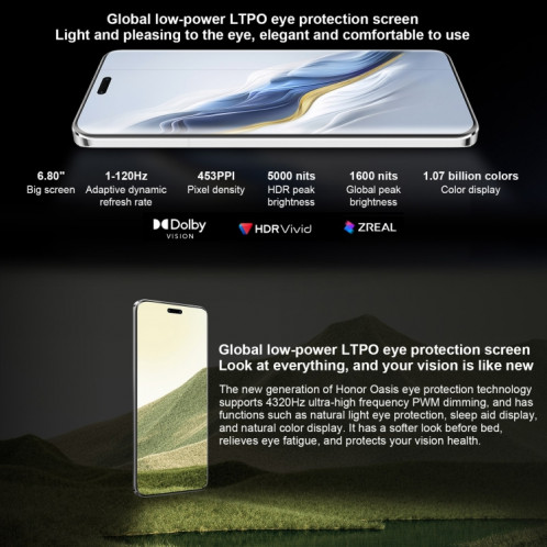 Honor Magic6 Pro, 12 Go + 256 Go, 6,8 pouces Magic OS 8.0 Snapdragon 8 Gen 3 Octa Core jusqu'à 3,3 GHz, réseau : 5G, OTG, NFC (bleu) SH201A1543-013