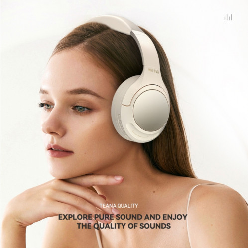 Casque Bluetooth supra-auriculaire à réduction de bruit active WH850i ANC (noir) SH001A1822-09