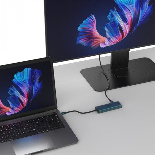 Onten UC125 5 en 1 USB-C / Type-C vers HDMI + USB3.0 + PD3.0 HUB multifonction avec carte réseau 100 Mbps SO24481512-07