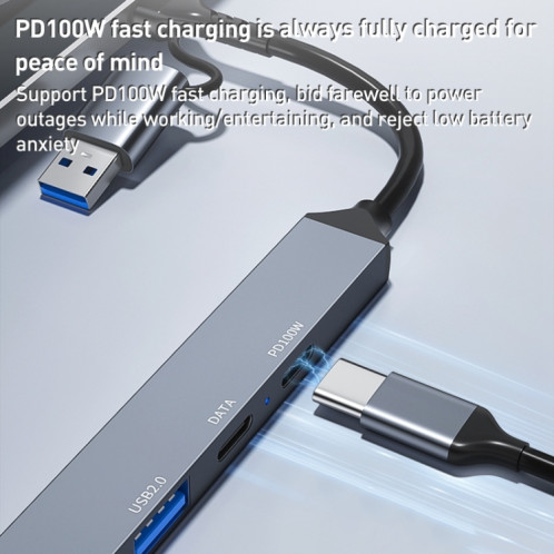 ADS-807D 6 en 1 USB + Type-C vers PD100W + USB3.0/2.0 + Station d'accueil SD/TF HUB (Gris sidéral) SH401A604-010