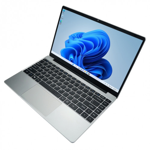 Ordinateur portable 14 pouces, 8 Go + 256 Go, Windows 10 Home Intel Celeron J4105 Quad Core (argent) SH302A1909-09