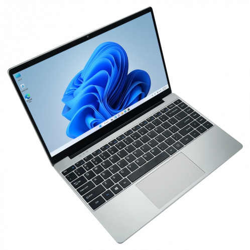 Ordinateur portable 14 pouces, 8 Go + 256 Go, Windows 10 Home Intel Celeron J4105 Quad Core (argent) SH302A1909-09