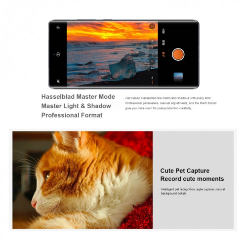Téléphone OPPO Find X7 AI, 16 Go + 256 Go, empreinte digitale d'écran, 6,78 pouces ColorOS 14,0 Dimensity 9300 Octa Core jusqu'à 3,25 GHz, OTG, NFC, réseau : 5G (marron argent) SO502A946-014