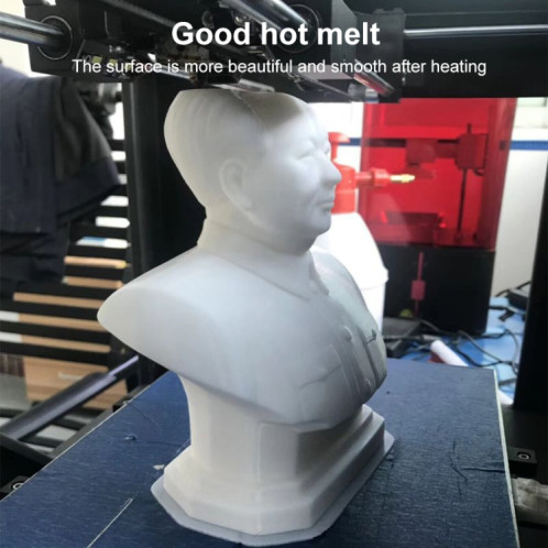 Matériau composite PLA-F de filament d'imprimante 3D 1.0KG (blanc) SH301J110-010