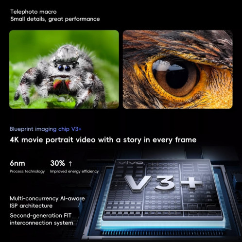vivo X100 Ultra, 12 Go + 256 Go, identification faciale/identification par empreinte digitale, 6,78 pouces Android 14 OriginOS 4 Snapdragon 8 Gen 3 Octa Core, OTG, NFC, réseau : 5G, prise en charge Google Play (gris SV801B1384-013