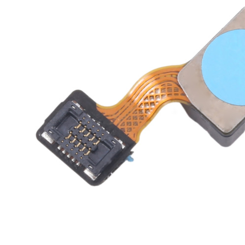 Câble flexible du capteur d'empreintes digitales d'origine pour Honor 30 SH5201681-04