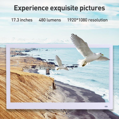 Cadre photo Cloud WIFI à écran LED HD 17,3 pouces XCLT-1730 avec support, prise : (noir) SH503A1841-011