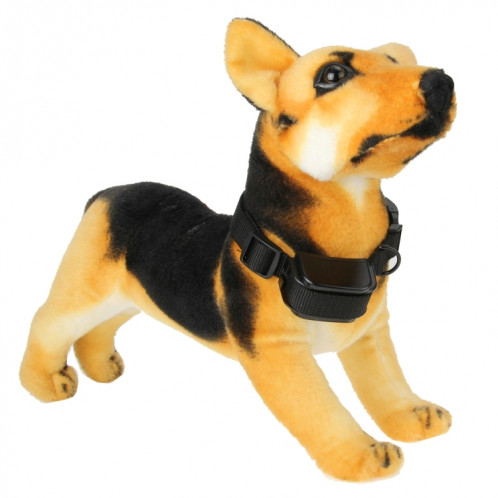 Collier rechargeable et imperméable à 300 m de 300 m à distance de chien d'entraînement avec écran LCD SH0010240-014