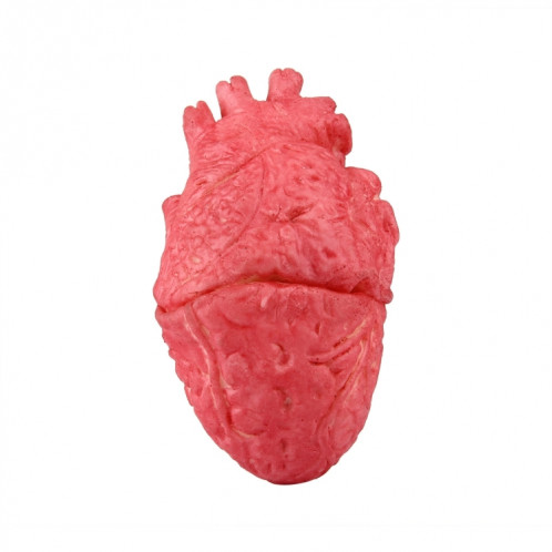 Faux drôle accessoires populaires faux coeur SH06801325-05