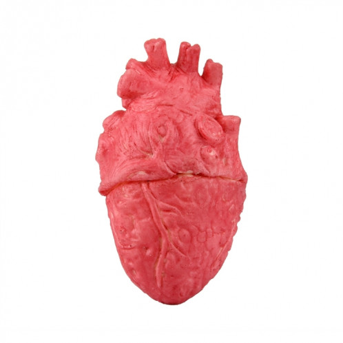 Faux drôle accessoires populaires faux coeur SH06801325-05