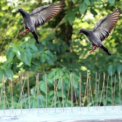 5 PCS / Set Bird Repeller 50cm Clous en acier inoxydable Clous d'oiseaux SK411 SH28801383-011