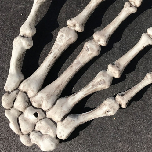Un paire de Halloween squelette mains accessoires de décoration de maison hantée, taille: 15,5 x 10 cm SH6360395-08