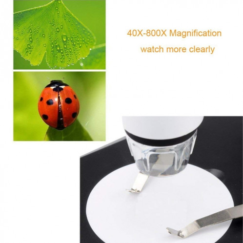 DMS-MDS800 40X-1600X loupe 2.0MP capteur d'image Microscope numérique USB avec 8 LED et support professionnel SH8589434-09