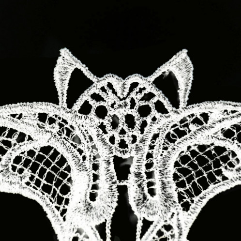 Mascarade halloween fête danse sexy lady masque de chauve-souris en dentelle (blanc) SH964W1054-07