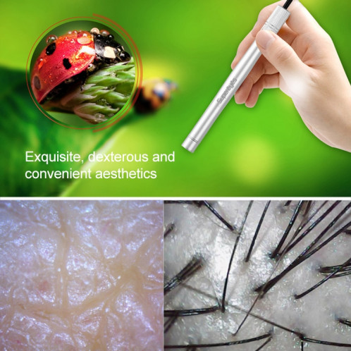Supéries B005 Digital Electronic Endoscope Timbre Industrial Stamp Isecks Loupe Loupe SS0975171-08