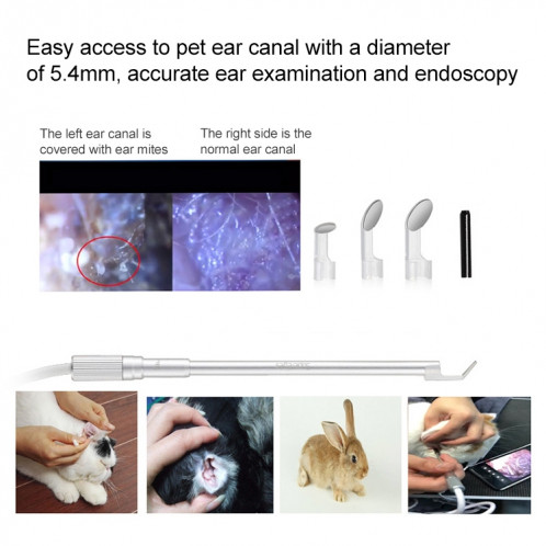 Supéries Y003 Canal Canal Nasal Cavity Nasal Cavity Digital Digital Endoscope SS111088-08