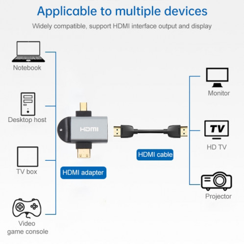 2 en 1 mini HDMI mâle + micro HDMI mâle à l'adaptateur tête plaqué or femme HDMI SH0202650-06