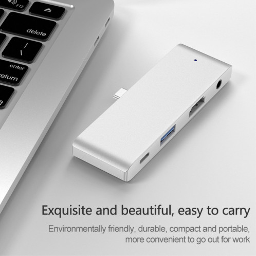 HW-TC29 Adaptateur HUB d'extension multifonction 4 en 1 Type-C / USB-C Hub iPad Pro (Argent) SH120S137-013