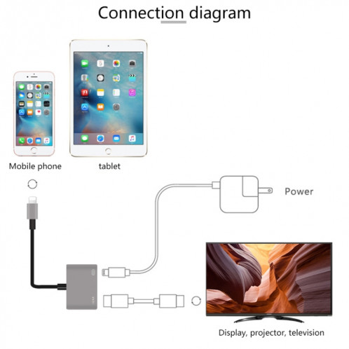 Onten 7565S Câble adaptateur vidéo pour projecteur HDTV 8 broches vers HDMI pour iPad (gris) SO438H1211-013