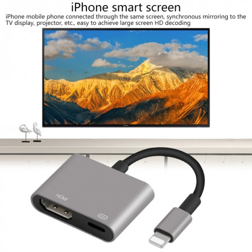Onten 7565S Câble adaptateur vidéo pour projecteur HDTV 8 broches vers HDMI pour iPad (gris) SO438H1211-013