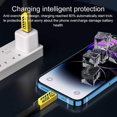 WK WDC-192 Mech Series 100 W USB-C/Type-C vers USB-C/Type-C Câble de données à charge rapide, longueur : 1 m (ternir) SW315Q1010-08