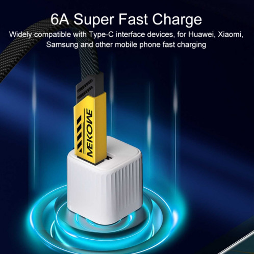 WK WDC-192 Mech Series 100 W USB-C/Type-C vers USB-C/Type-C Câble de données à charge rapide, longueur : 1 m (ternir) SW315Q1010-08