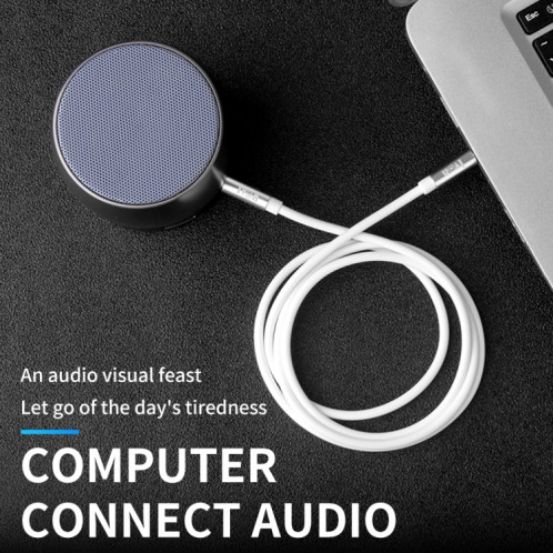 Ivon CA55 3,5 mm mâle au câble audio audio mâle, longueur de câble: 1m (noir) SI410B784-08
