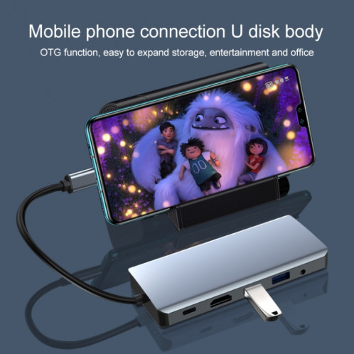 12 en 1 RJ45 + 100W PD + SD/TF + USB3.0x5 + HDMI + VGA + Adaptateur HUB AUX vers Type-C 3,5 mm SH74281023-07