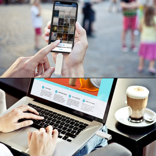 S31 3 en 1 128 Go Micro USB 2.0 + USB-C / Type-C + Interface à 8 broches Disque Flash en métal Twister (Argent) SH244S43-010