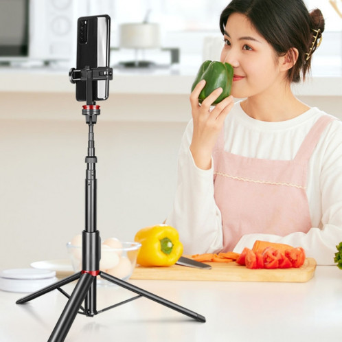 Alliage d'aluminium Téléphone mobile Bluetooth Selfie Stick Stick Live Floor Support, Hauteur: 1.8m SH697571-010