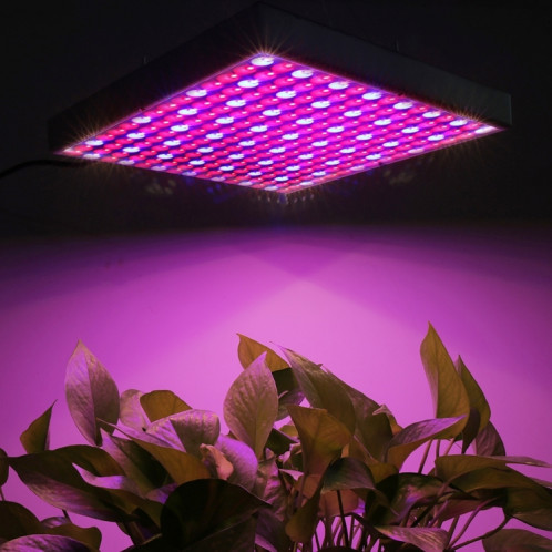 45W SMD 2835 rouge + lumière bleue de croissance de plantes de LED, 225 LEDs lumière de serre chaude d'aquarium, AC 85-265V SH04691620-014