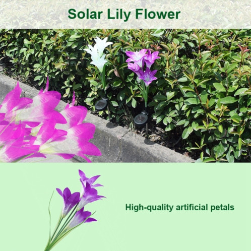 Fleur de lys simulée 4 têtes solaire extérieur IP55 étanche LED lampe de pelouse décorative, lumière blanche (violet) SH989P904-013