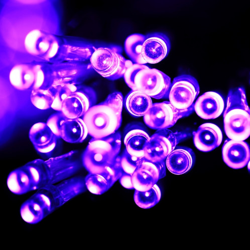 3m (Longueur) x 2m (Hauteur) 12W 200 LEDs Reticular String Devoration Lights avec contrôleur d'extrémité et multifonctions, prise EU, AC 220V (violet) S35APL1959-08