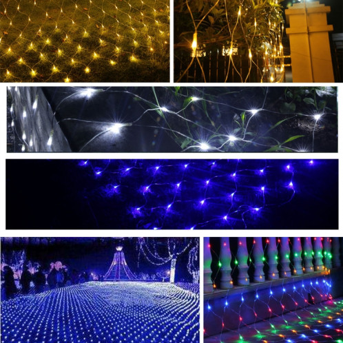 3m (Longueur) x 2m (Hauteur) 12W 200 LEDs Reticular String Devoration Lights avec le joint d'extrémité et le contrôleur multifonctionnel, prise de l'UE, AC 220V (lumière colorée) S35ACL1667-08