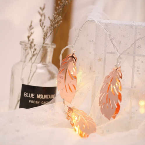 3m plume d'or prise USB LED romantique chaîne vacances lumière, 20 LEDs adolescente style chaleureuse fée lampe décorative pour Noël, mariage, chambre à coucher (blanc chaud) SH25WW383-04