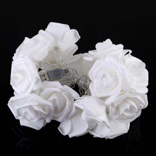 3m forme de rose prise USB romantique LED chaîne vacances lumière, lampe décorative fée de style adolescente 20 LED pour Noël, mariage, chambre à coucher (blanc chaud) SH29WW301-07