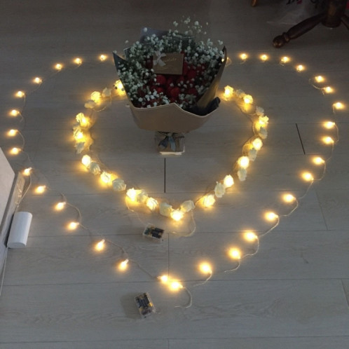 3m forme de rose prise USB romantique LED chaîne vacances lumière, lampe décorative fée de style adolescente 20 LED pour Noël, mariage, chambre à coucher (blanc chaud) SH29WW301-07