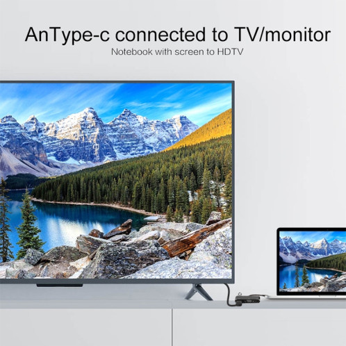 Convertisseur USB-C / Type-C vers HDMI / VGA / USB 3.0 / PD SH6610777-015