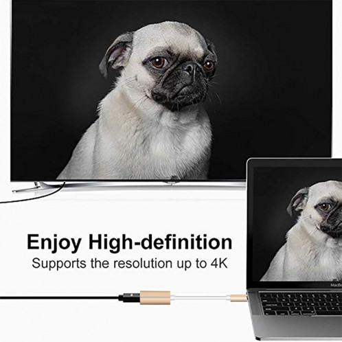 15cm 4Kx2K 60HzUSB-C / Type-C 3.1 Mâle vers Mini Adaptateur DisplayPort Femelle pour MacBook 12 pouces, Chromebook Pixel 2015 Tablet PC (Or) SH815J1613-09