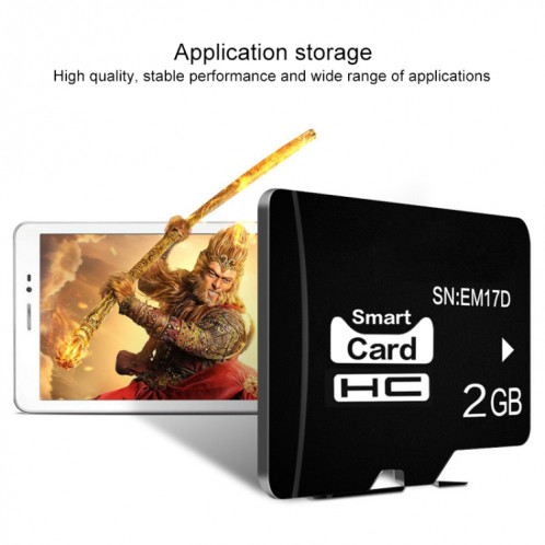 Carte mémoire eekoo 2 Go CLASS 4 TF (Micro SD) SE25421528-09