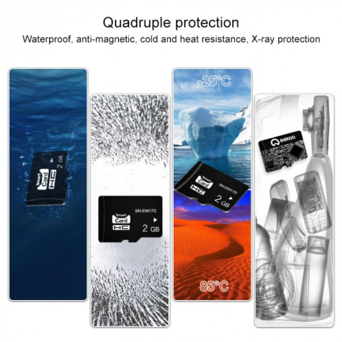 Carte mémoire eekoo 2 Go CLASS 4 TF (Micro SD) SE25421528-09