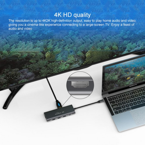 Blueendless 9 en 1 Station d'extension multifonction de type C / USB-C HUB SB32621377-013