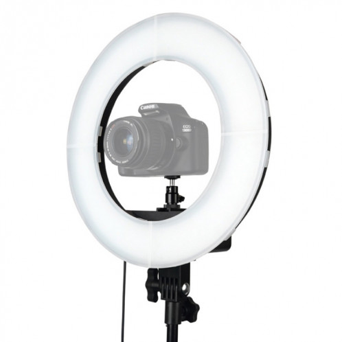 Lampe de poche à DEL avec anneau retardateur pour photographie, prise d'ancrage 12 pouces SH005487-014